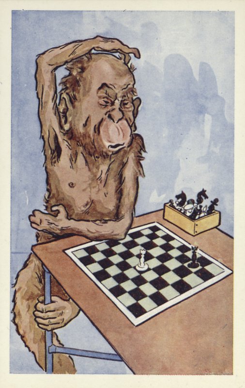 Chimpanzee pondering a chess move by English School