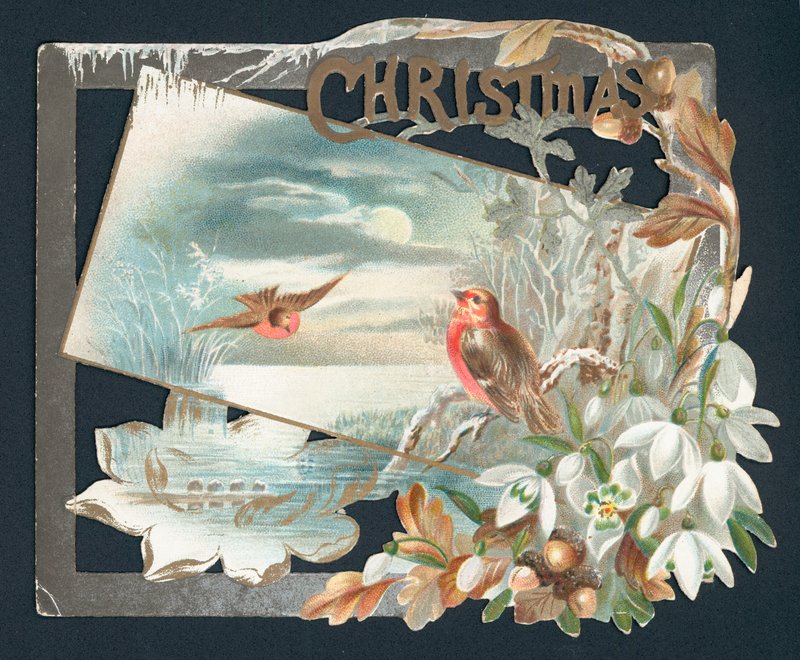Christmas card with two robins by English School