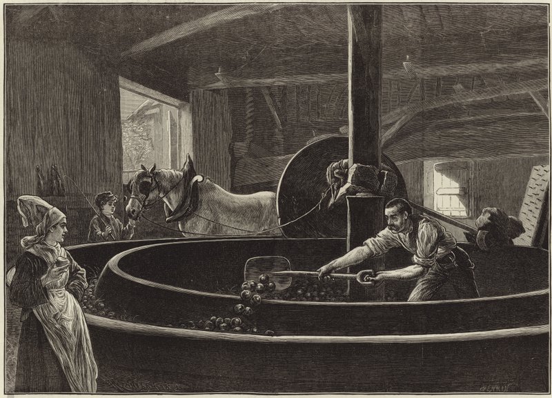 Cider Making in Normandy by English School