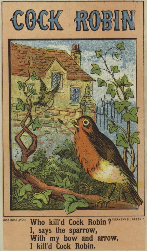 Cock Robin by English School
