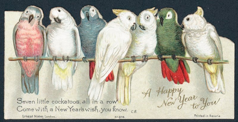 Cockatoos by English School