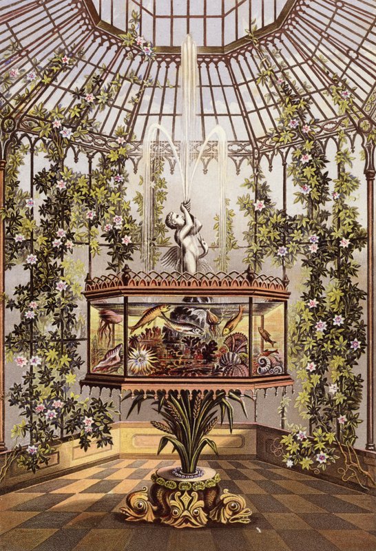 Conservatory and Aquarium by English School