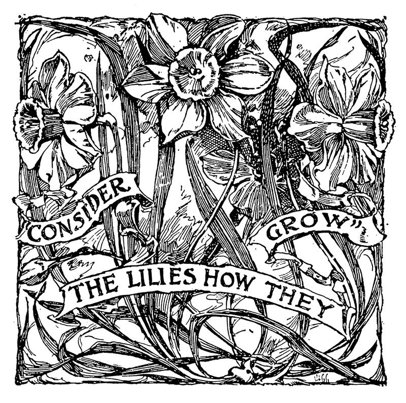 Consider The Lilies How They Grow by English School