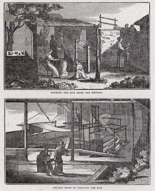 Cultivation of silk by English School