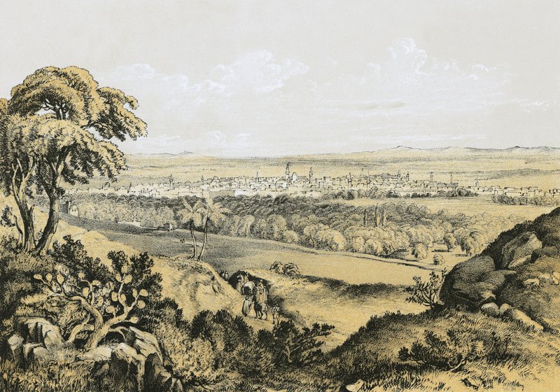 Damascus from Hill of Suleihey by English School