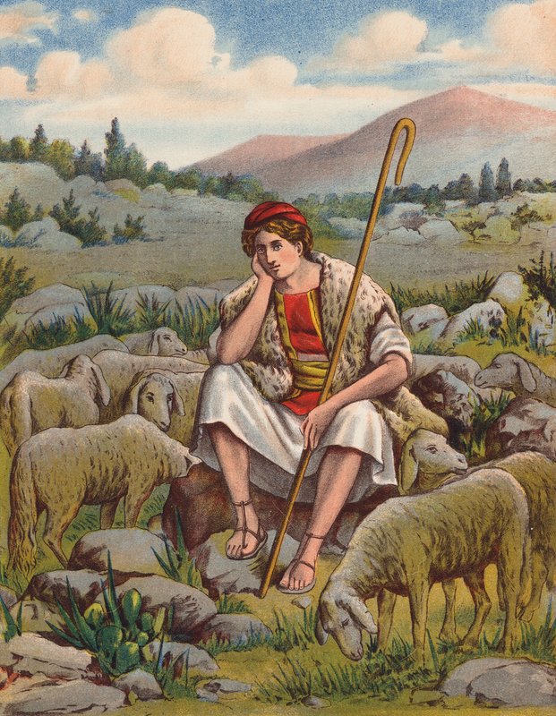 David the Shepherd by English School