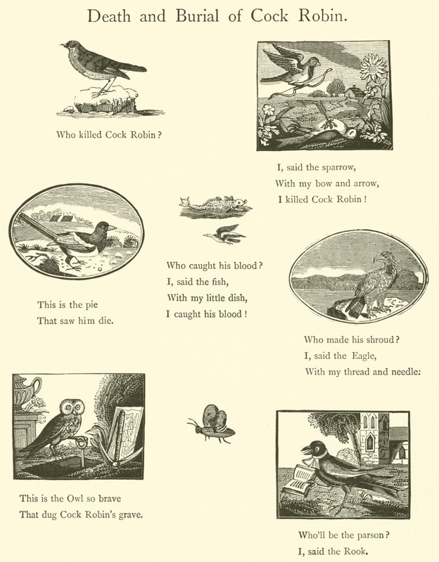 Death And Burial Of Cock Robin by English School
