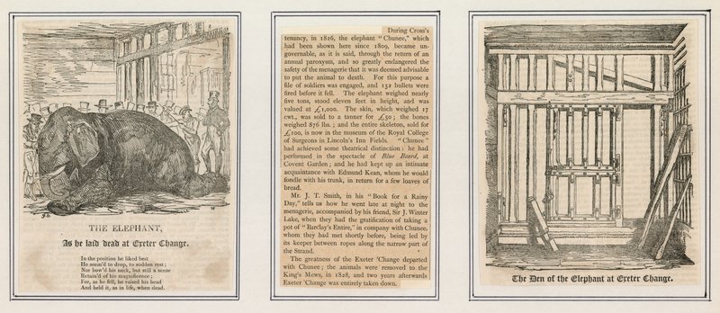 Death of the elephant at Exeter Change by English School