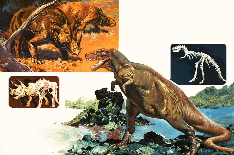 Dinosaurs and Skeletons. Stegosaurus and Tyrannosaurus by English School