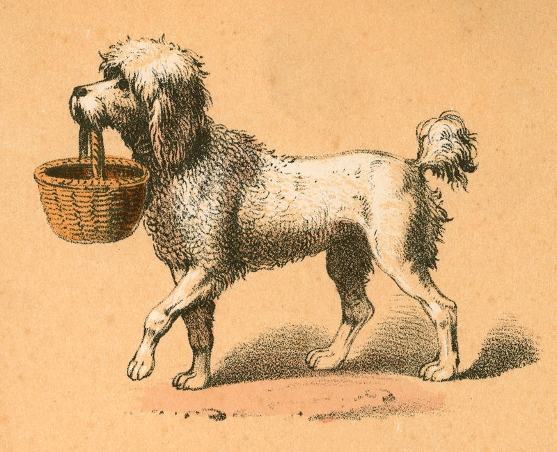 Dog with Basket by English School