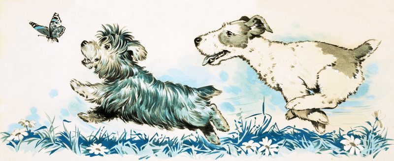 Dogs Chasing a Butterfly by English School