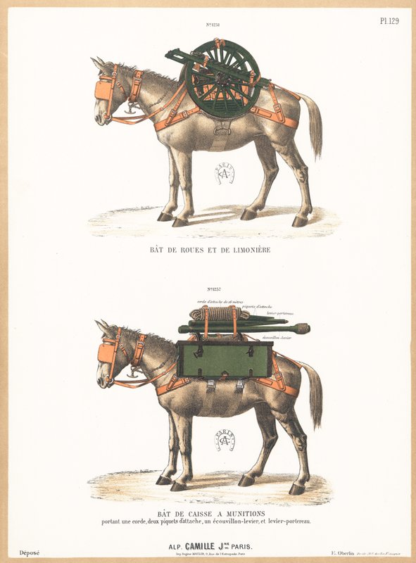Donkeys wearing saddles by English School