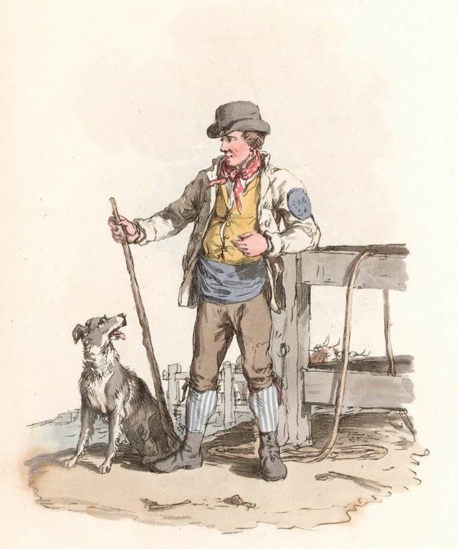 Drover by English School