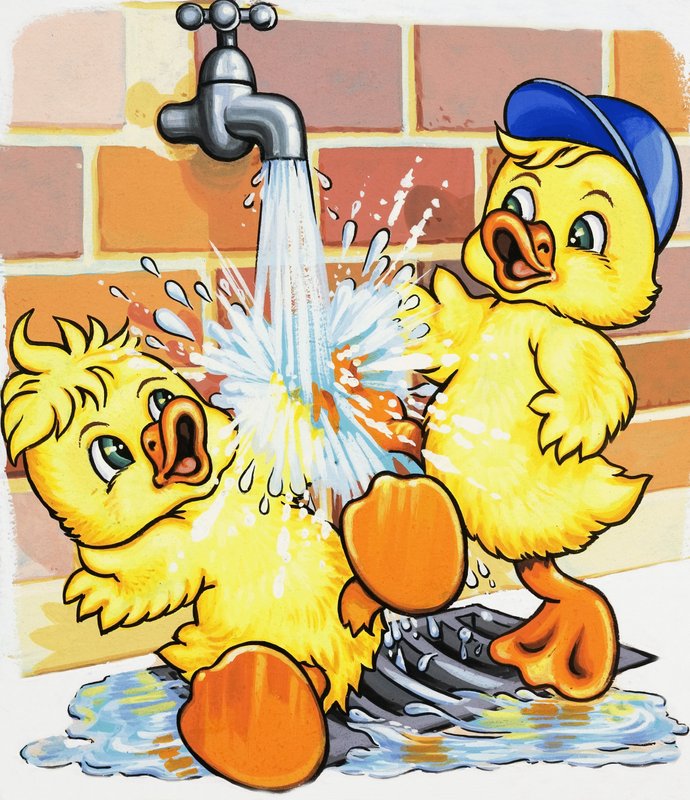 Ducklings discover how to use a tap by English School