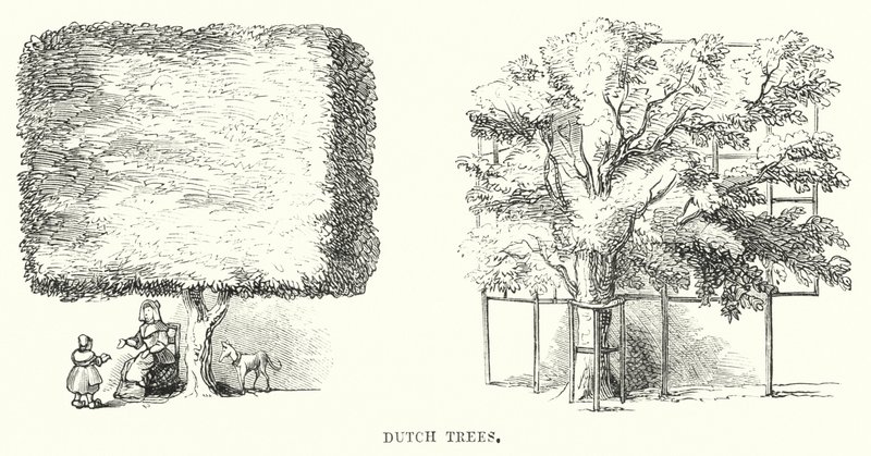 Dutch Trees by English School