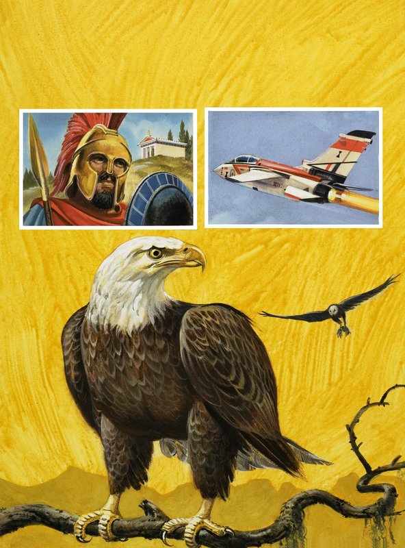 Eagle by English School