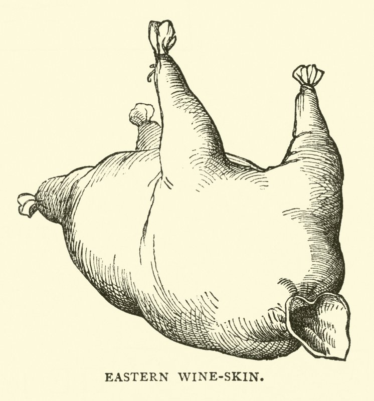 Eastern Wine-Skin by English School