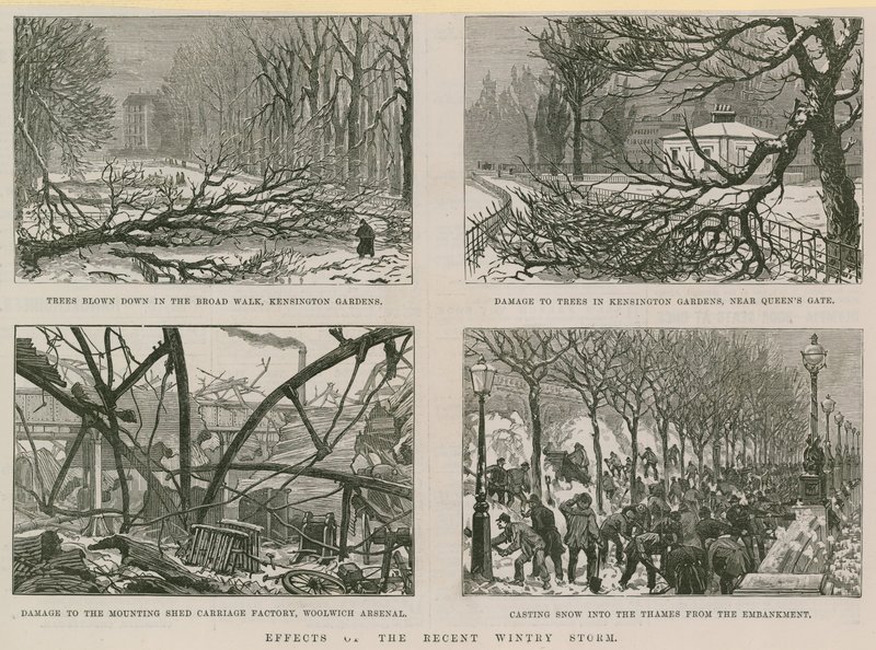 Effects of the Recent Wintry Storm by English School