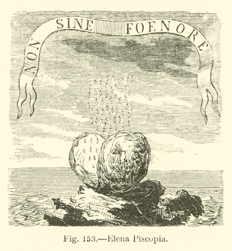 Elena Piscopia by English School
