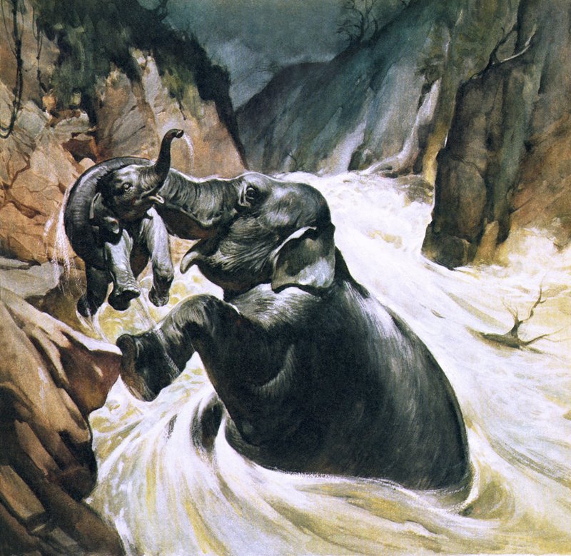 Elephant Saving Its Calf by English School