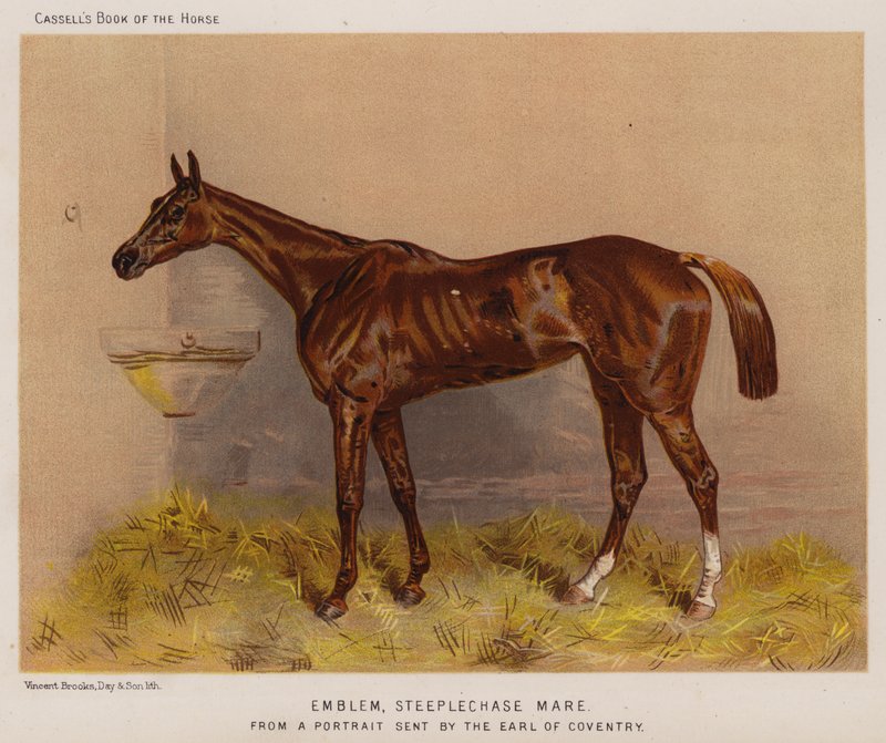 Emblem, Steeplechase Mare by English School