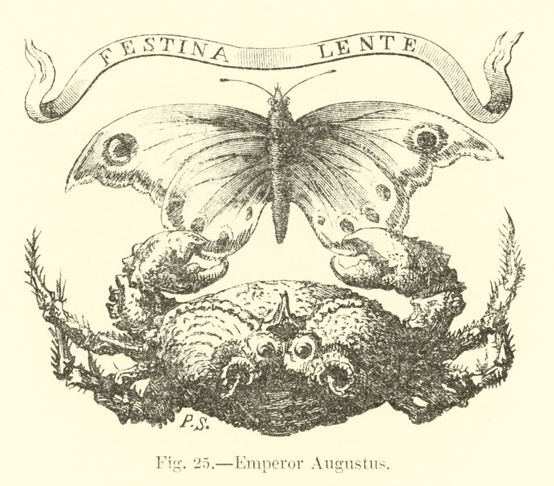 Emperor Augustus by English School