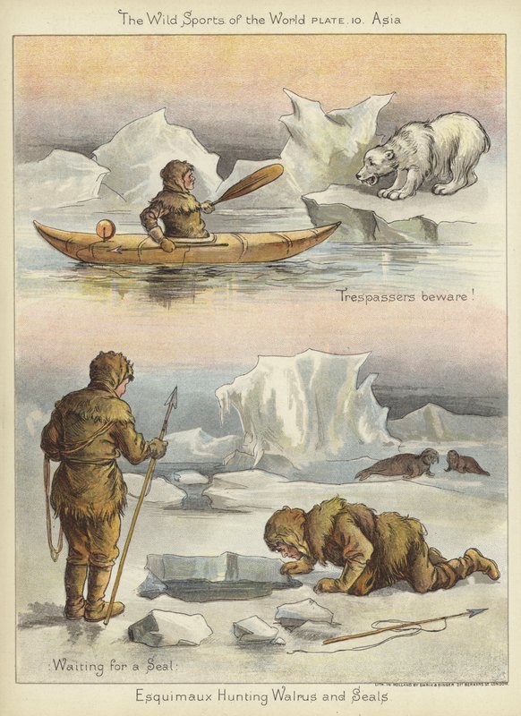 Esquimaux Hunting Walrus and Seals by English School