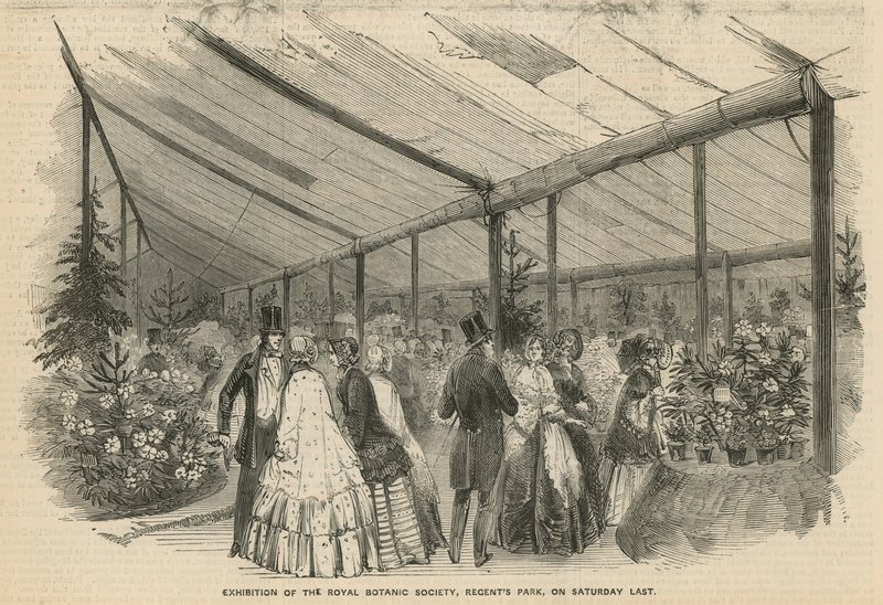 Exhibition of the Royal Botanic Society by English School