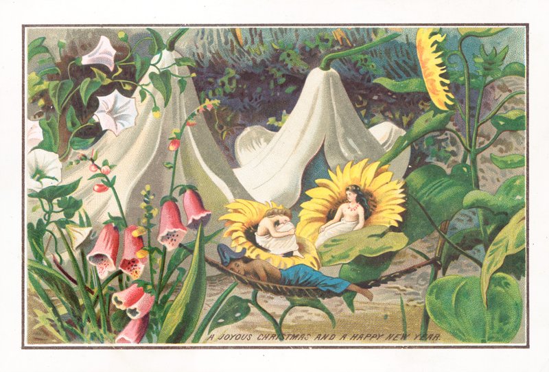 Fairies Sleeping by English School