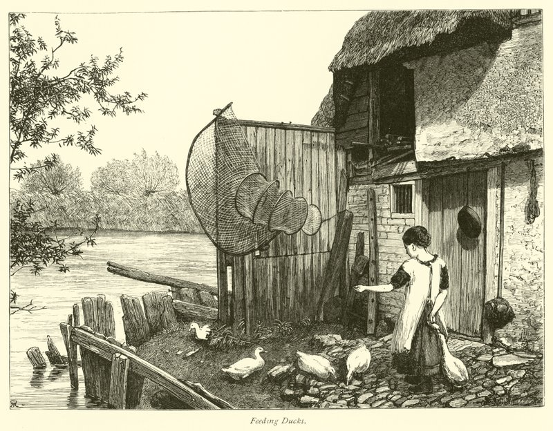 Feeding Ducks by English School