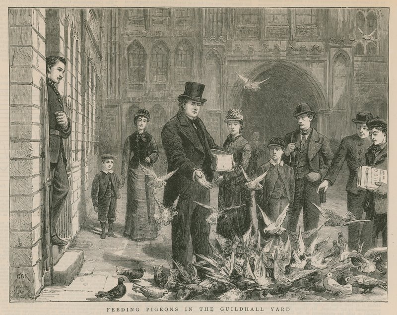 Feeding Pigeons in the Guildhall Yard by English School
