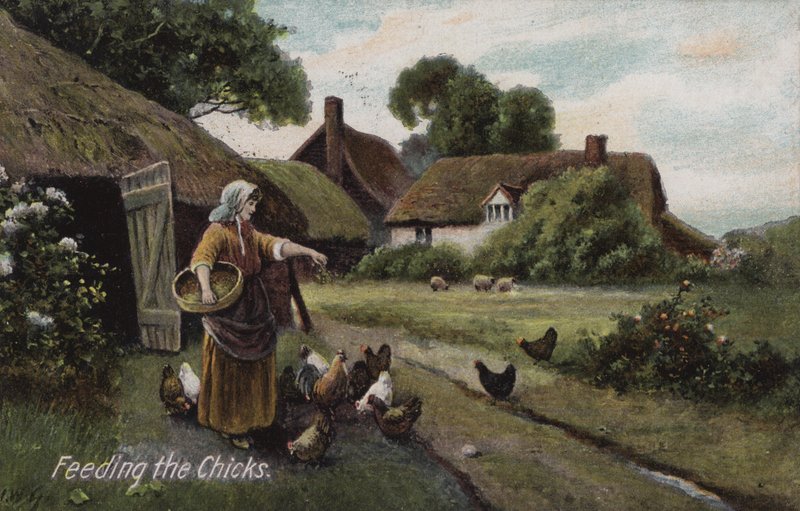 Feeding the Chicks by English School