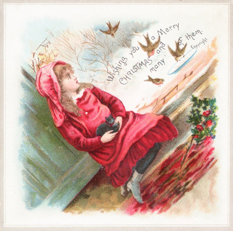 Feeding the birds by English School