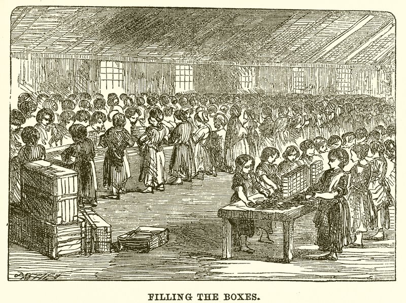 Filling the Boxes by English School