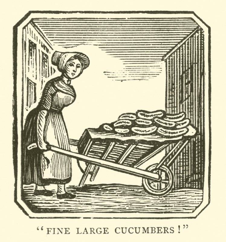 Fine large cucumbers by English School