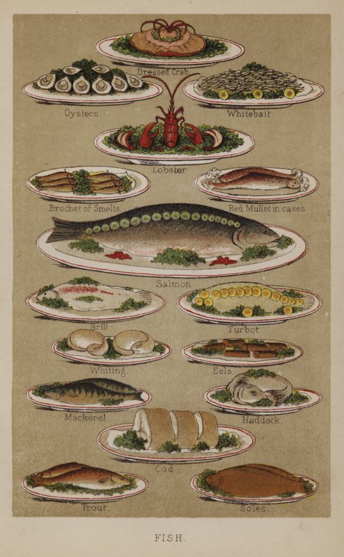 Fish by English School