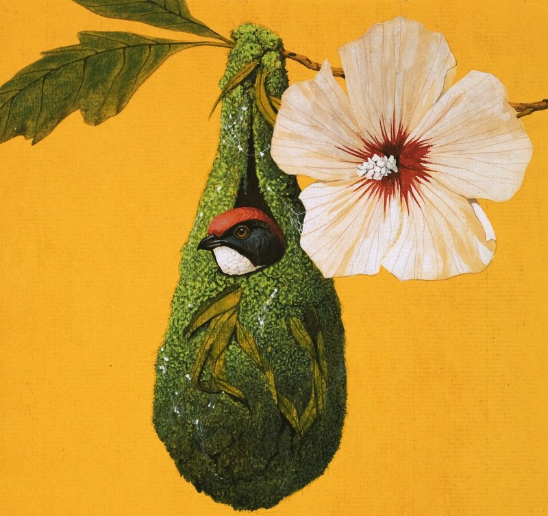 Flower-pecker bird from India and Australia by English School