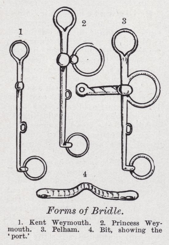 Forms of bridle by English School