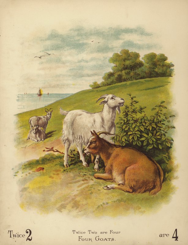 Four Goats by English School