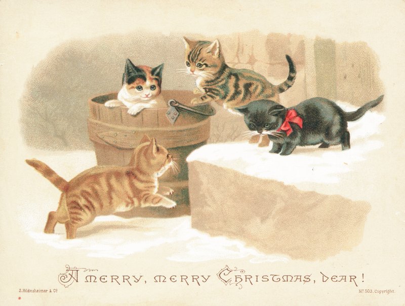 Four Little Kittens Playing by English School