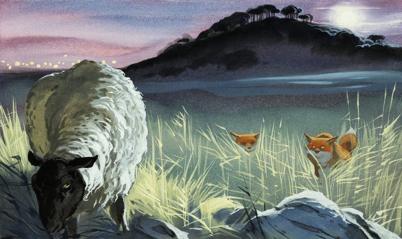 Foxes eyeing a sheep by English School