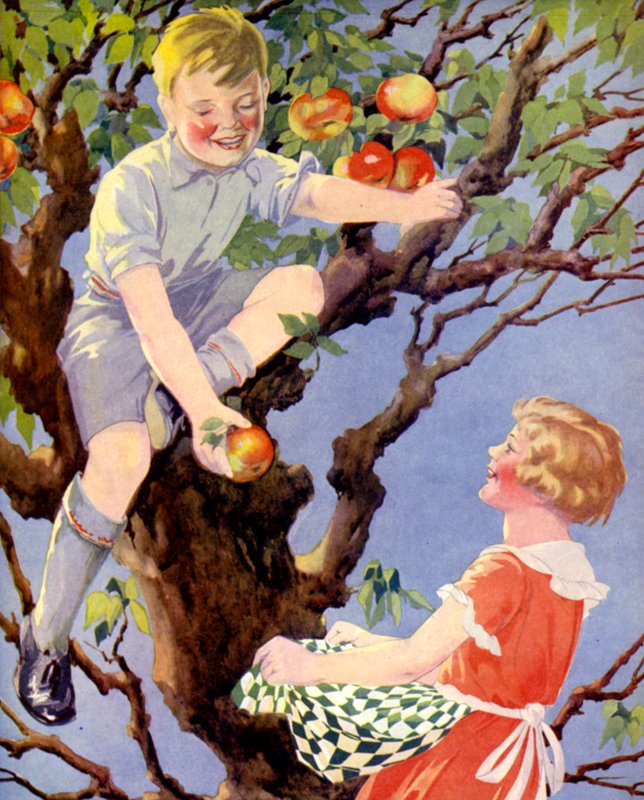 Gathering the Apple Crop by English School