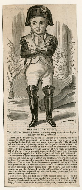 General Tom Thumb by English School