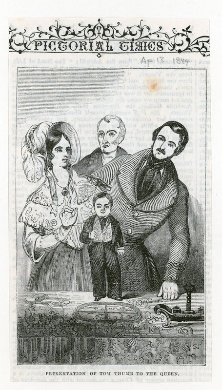 General Tom Thumb by English School