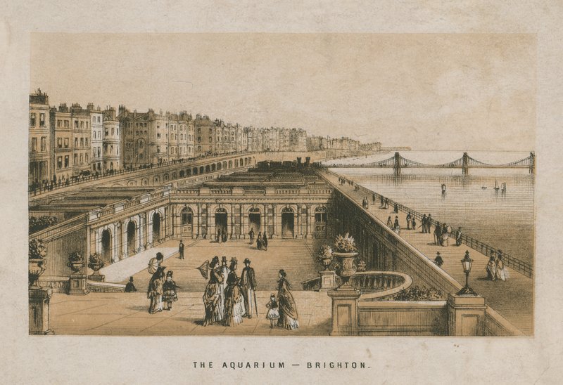 General view of the Aquarium in Brighton by English School