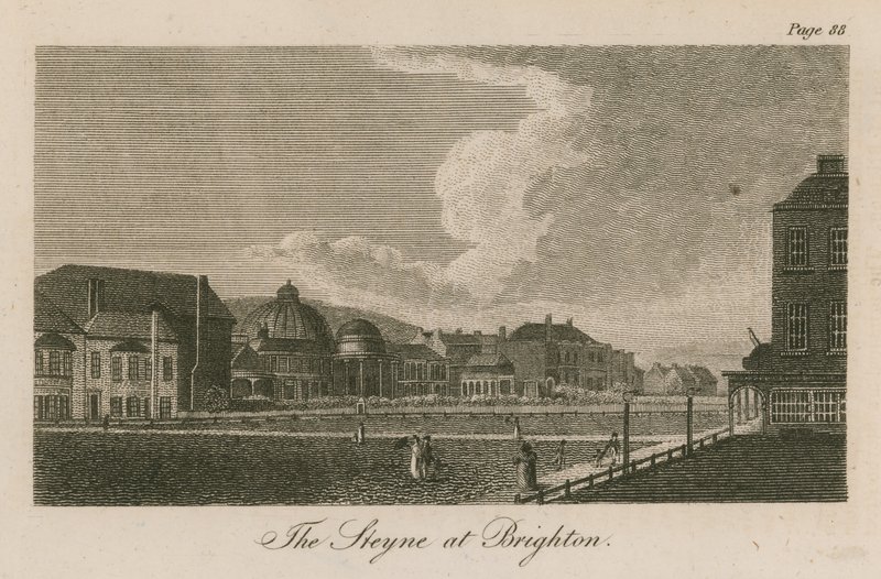 General View of the Steyne at Brighton by English School