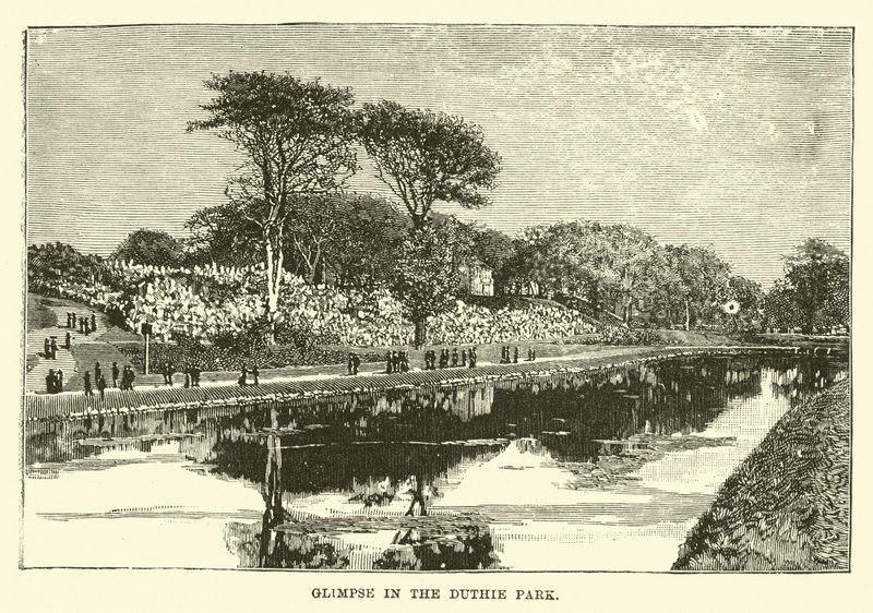 Glimpse in the Duthie Park by English School