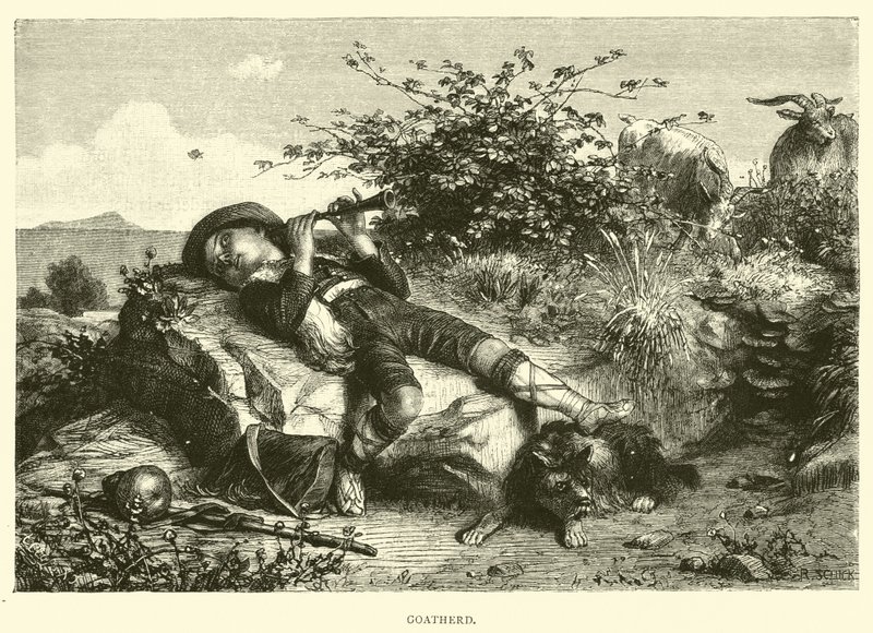 Goatherd by English School