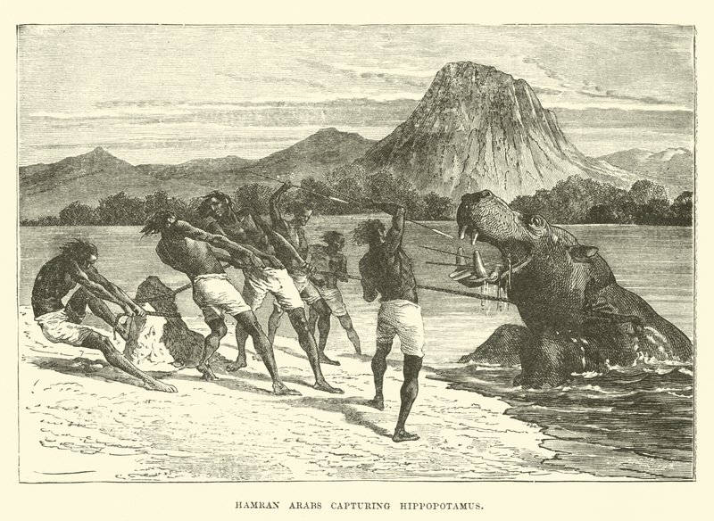 Hamran Arabs Capturing Hippopotamus by English School
