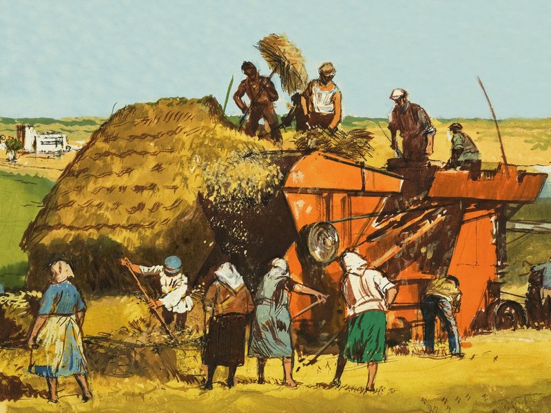 Harvesting wheat by English School